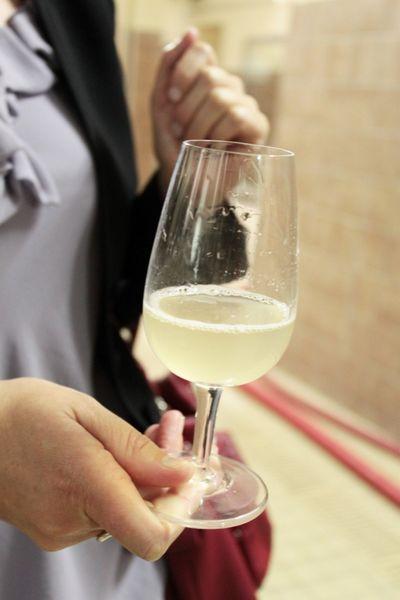 vin clair visite de la maison de Champagne Jacquart