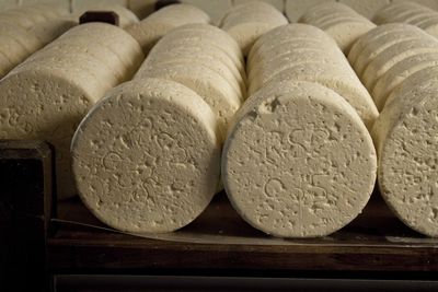 vue des marquages des fromages par la laiterie dans les caves de Roquefort Société