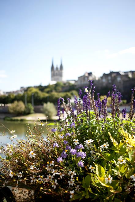 La Loire, des fleurs, la Cathédrale d'Angers @AnneDemay