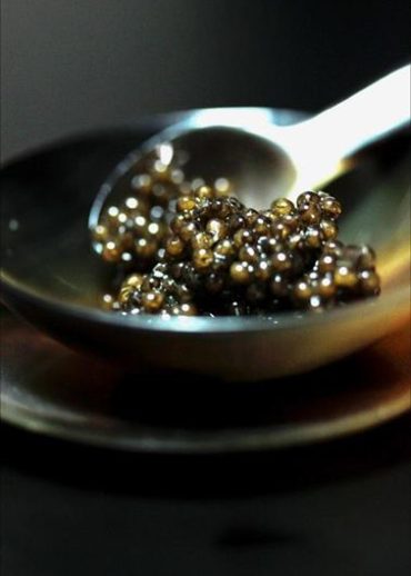 Comment choisir et servir le caviar