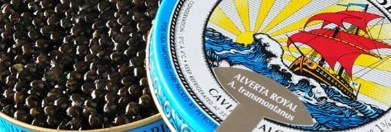 quel caviar choisir, comment le servir, comment l’accommoder 3