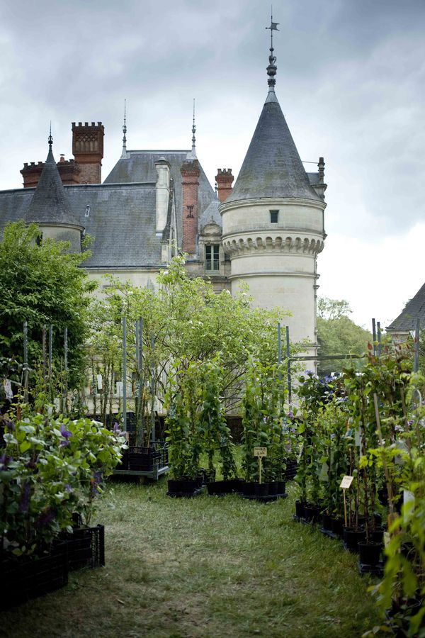 Château de la Bourdaisière fête des plantes 2