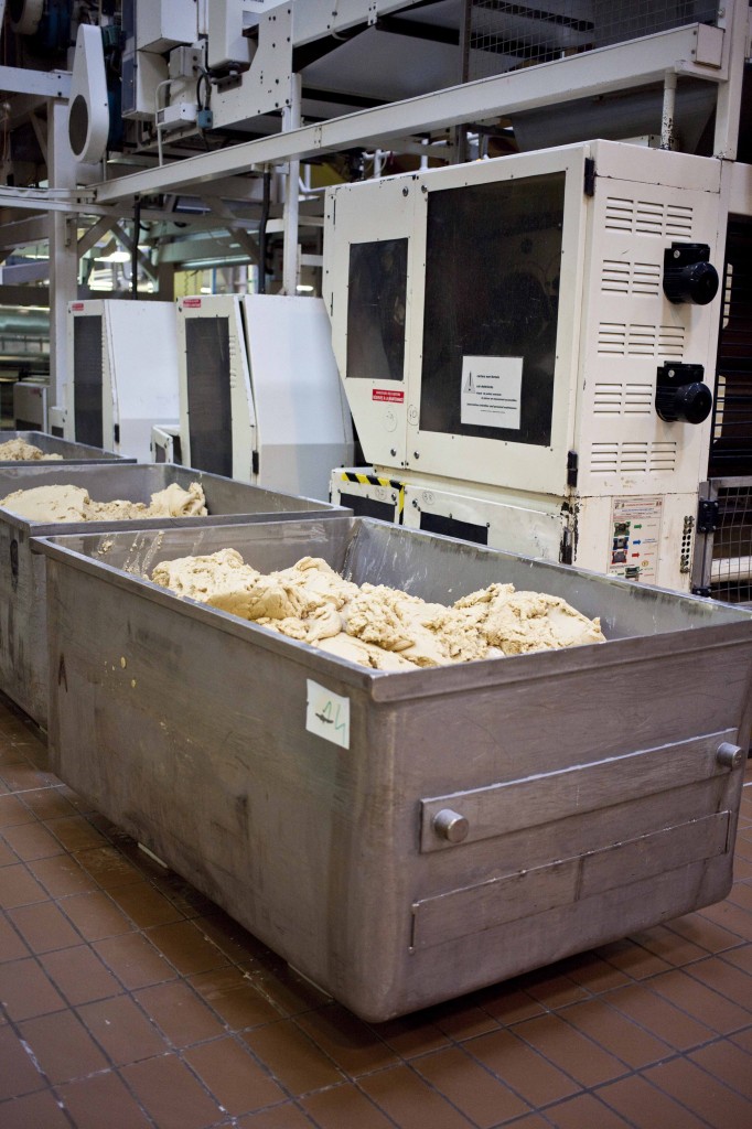 Dans chaque bac, 1 tonne de pâte repose 2 à 2h30 avant le laminage