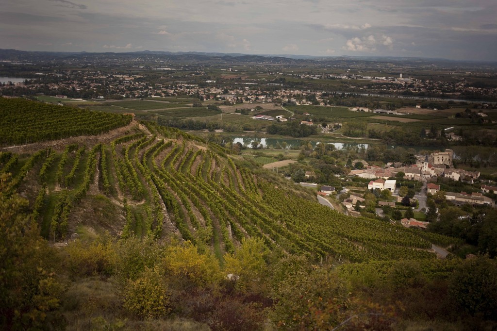 Ardèche Plein Coeur  Châteaubourg et les vignes de Syrah 1