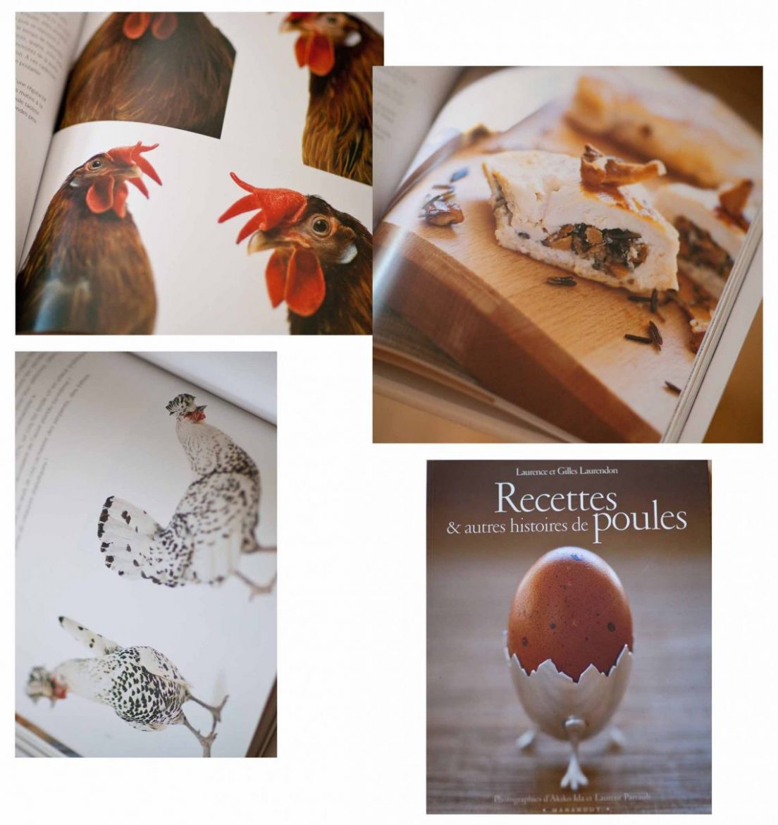Recettes et autres histoires de poules, sélection de livres de cuisine et gastronomie 2014