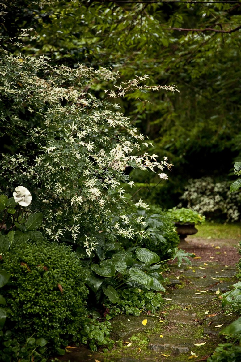 Les images du Jardin Retiré à Bagnoles de l'Orne, massifs blancs