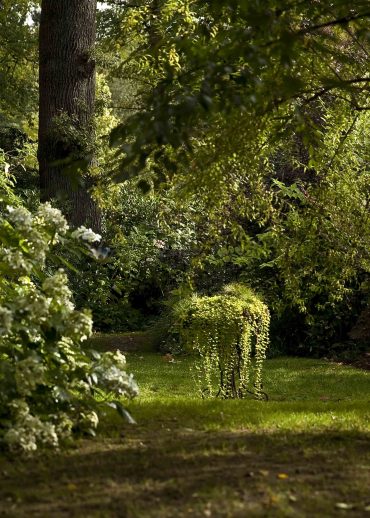 Les images du Jardin Retiré à Bagnoles de l'Orne, clairière.