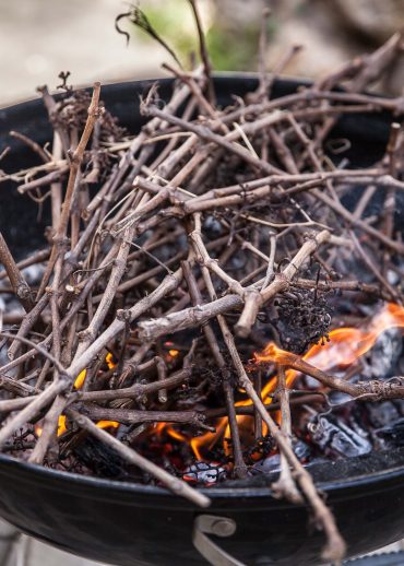 barbecue weber alumé au petit bois et aux ceps de vigne