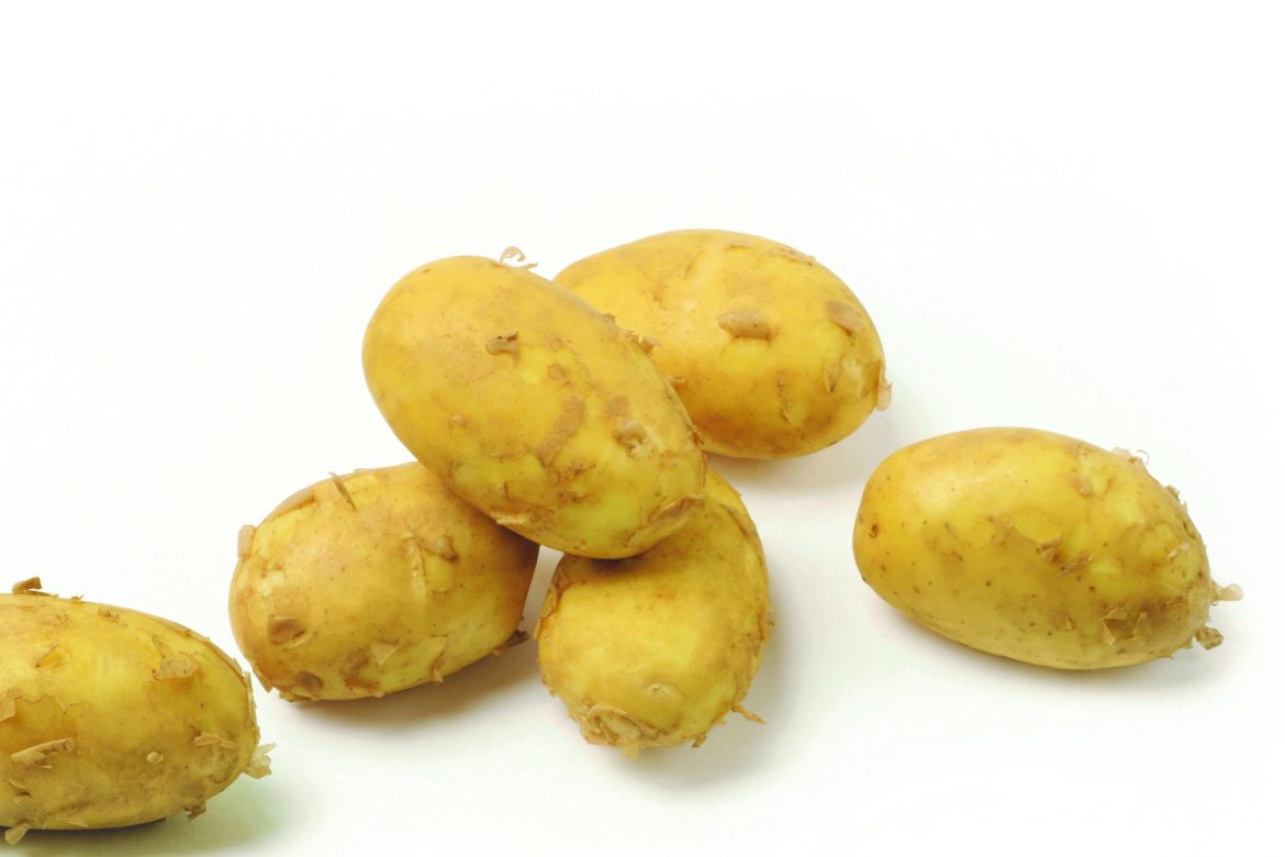 pommes de terre primeur