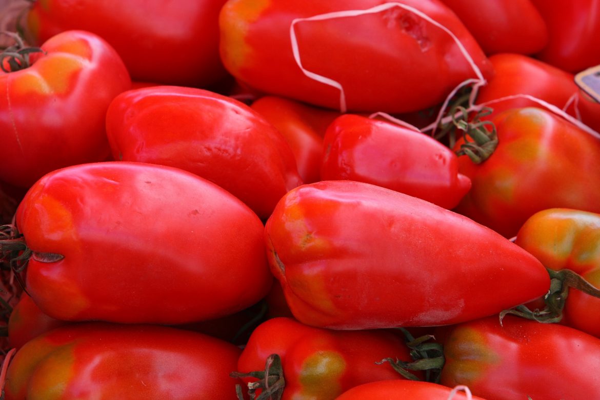 tomates cornues des andes