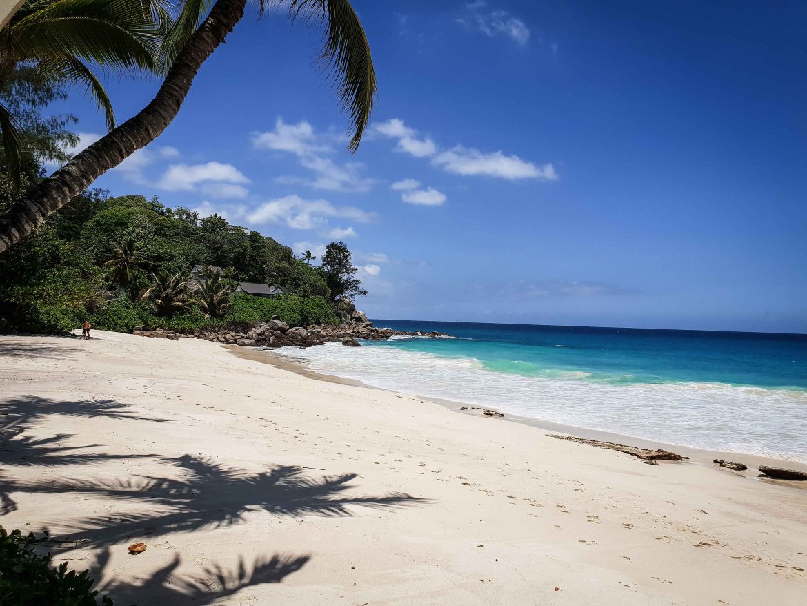 Les Seychelles, anse de Carana Estate, plage et palmiers