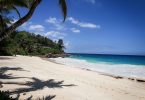 Les Seychelles, anse de Carana Estate, plage et palmiers