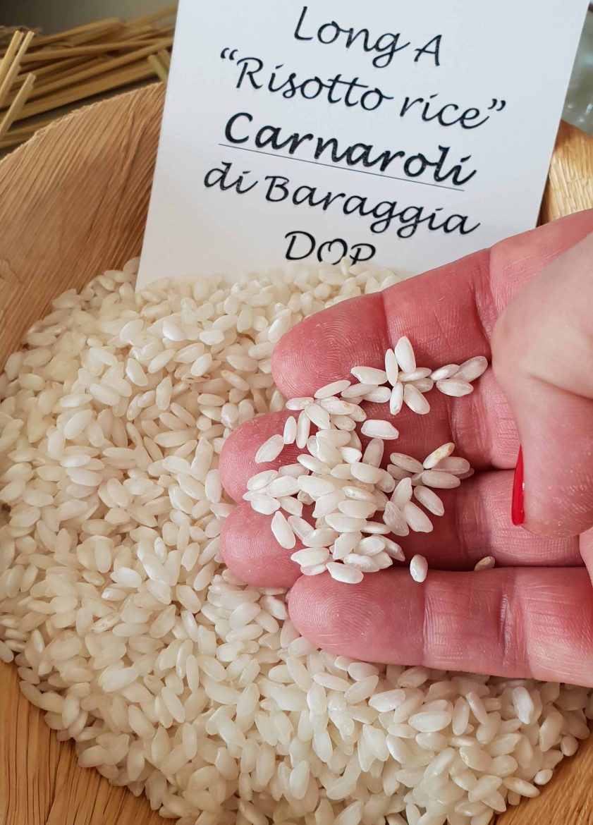 Le riz à risotto Carnaroli