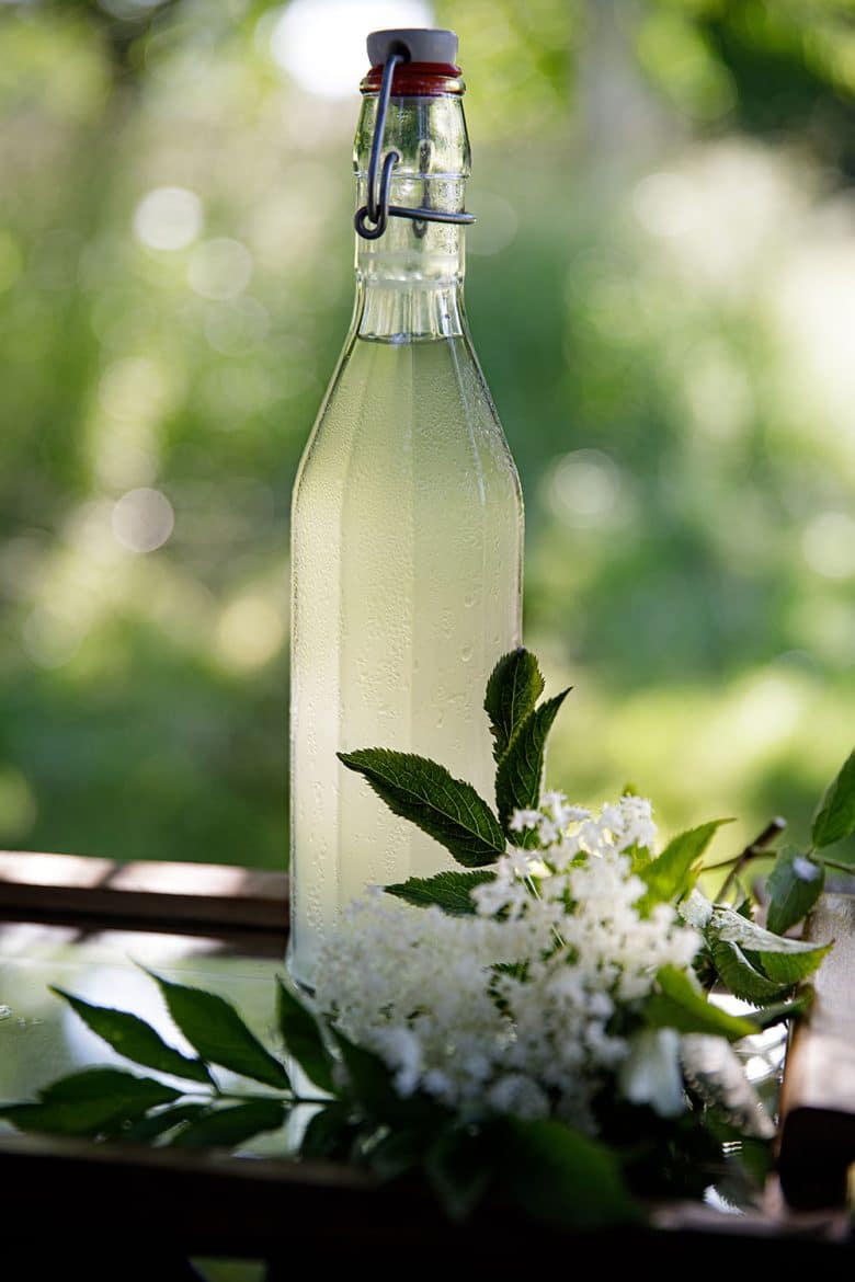 Recette de pétillant naturel de fleurs de sureau ou Champagne des fées, boisson fermentée aux fleurs