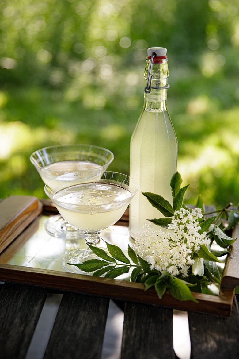 Limonade ou pétillant naturel de fleurs de sureau, le Champagne des fées