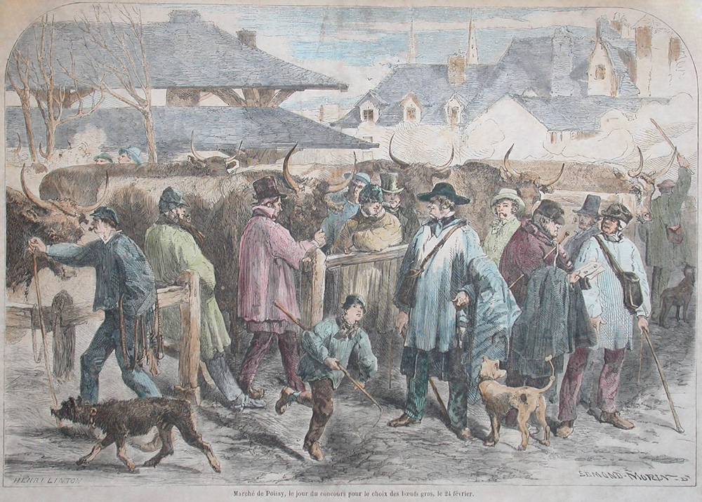 Le marché de Poissy, le jour du Concours pour le choix du boeuf gras, gravure colorisée d'après l'oeuvre d'Edmond Morin