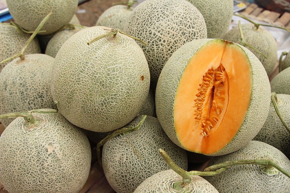 Melon brodé ou reticulus, souvent confondu avec le Cantaloupe car sa chair est aussi orange