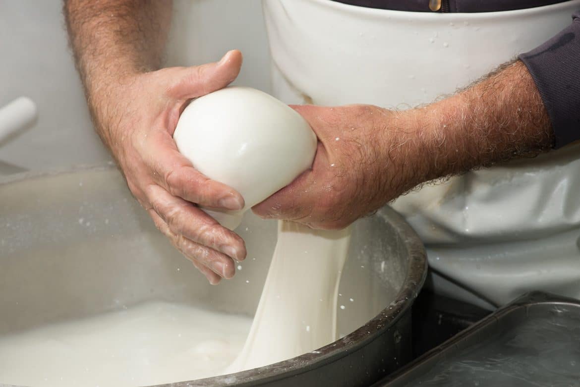 La fabrication des boules de mozzarella, un fromage frais filé dans l'eau chaude. 